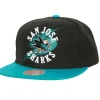 Circle Splash Snapback San Jose Sharks