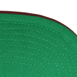 Circle Splash Snapback Vntg Anaheim Ducks