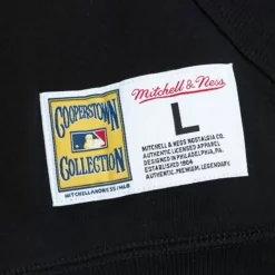 City Collection Fleece Hoody San Francisco Giants