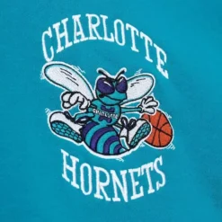 City Collection Fleece Hoody Charlotte Hornets