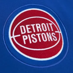 City Collection Fleece Hoody Detroit Pistons