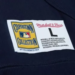 City Collection Fleece Hoody New York Yankees