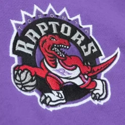 City Collection Fleece Hoody Toronto Raptors