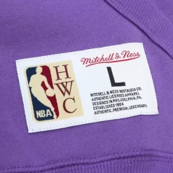 City Collection Fleece Hoody Toronto Raptors