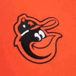 City Collection Fleece Hoody Baltimore Orioles