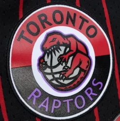 City Collection Mesh Shorts Toronto Raptors
