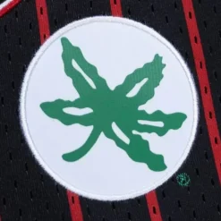 City Collection Mesh Shorts Ohio State