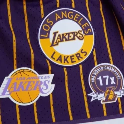City Collection Mesh Shorts Los Angeles Lakers