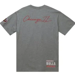 City Collection Ss Tee Chicago Bulls