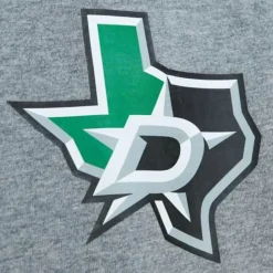 City Collection Ss Tee Dallas Stars