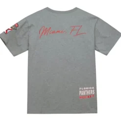 City Collection Ss Tee Florida Panthers