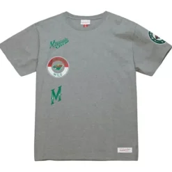 City Collection Ss Tee Minnesota Wild