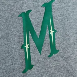 City Collection Ss Tee Minnesota Wild