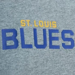 City Collection Ss Tee St. Louis Blues