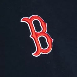 City Hoody Boston Red Sox