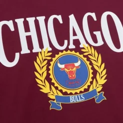 Collegiate Ivy League Ls Chicago Bulls