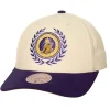 Collegiate Pro Snapback Los Angeles Lakers