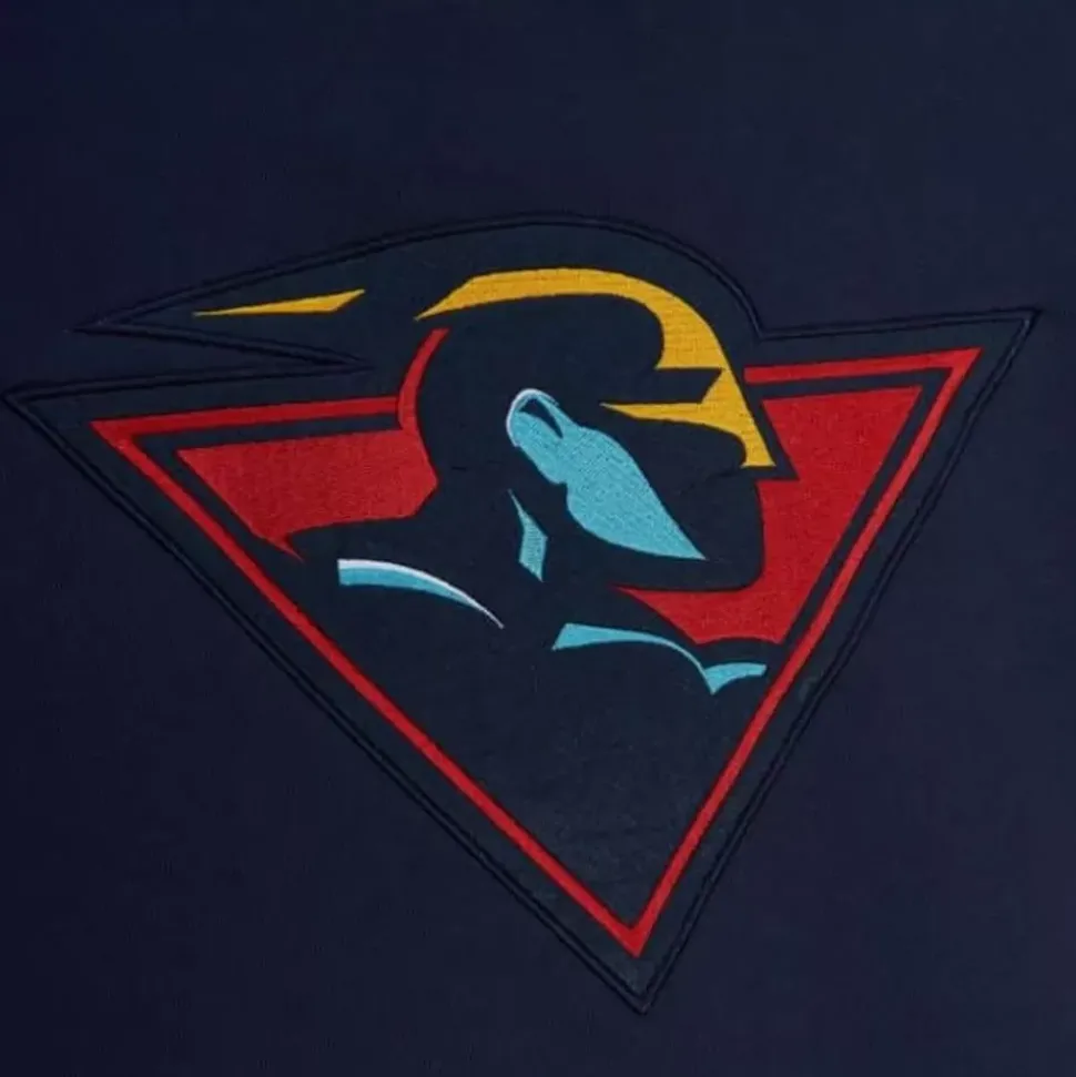 Color Blocked Fleece 2.0 Golden State Warriors