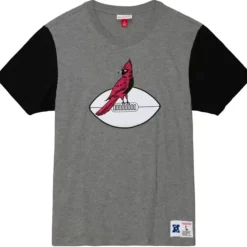 Color Blocked S/S Tee Arizona Cardinals