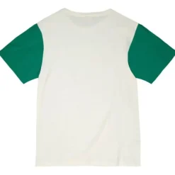 Color Blocked S/S Tee Boston Celtics