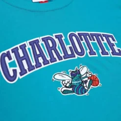Color Blocked Ss Tee Charlotte Hornets