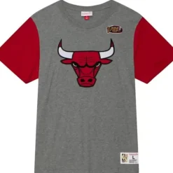 Color Blocked S/S Tee Chicago Bulls