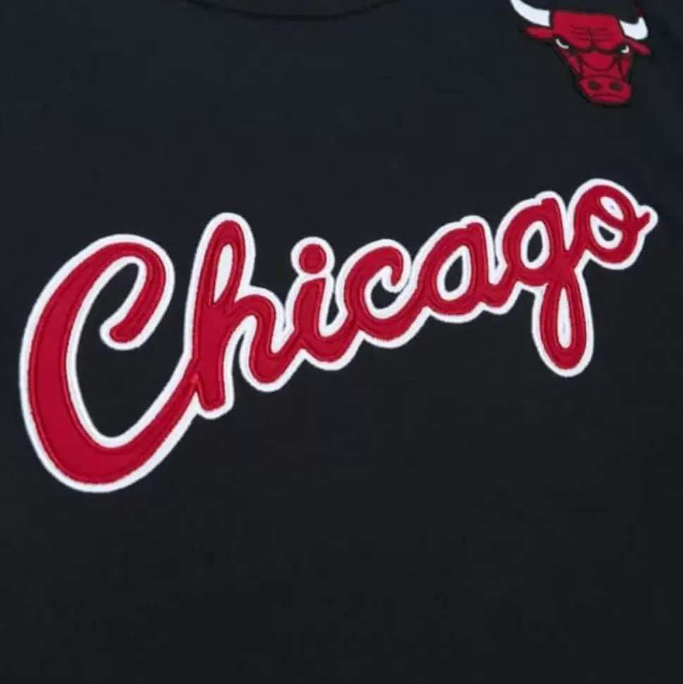 Color Blocked Ss Tee Chicago Bulls