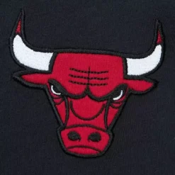 Color Blocked Ss Tee Chicago Bulls