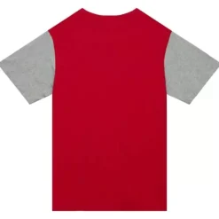 Color Blocked Ss Tee Detroit Red Wings