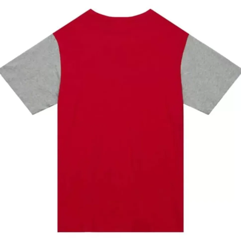 Color Blocked Ss Tee Detroit Red Wings