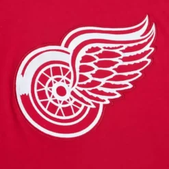 Color Blocked Ss Tee Detroit Red Wings