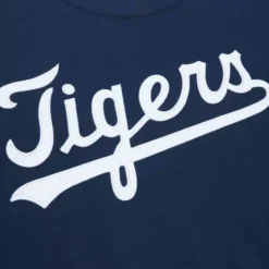 Color Blocked Ss Tee Detroit Tigers