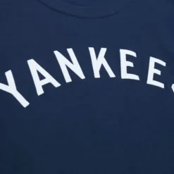 Color Blocked Ss Tee New York Yankees
