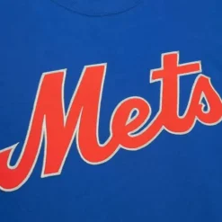 Color Blocked Ss Tee New York Mets