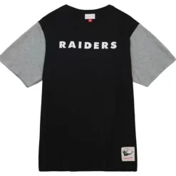 Color Blocked Ss Tee Oakland Raiders