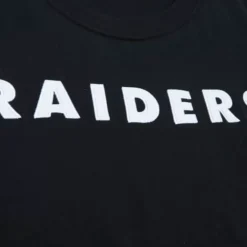 Color Blocked Ss Tee Oakland Raiders