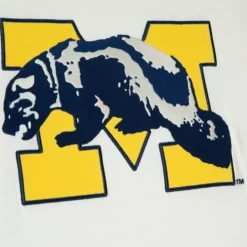 Color Blocked S/S Tee University Of Michigan