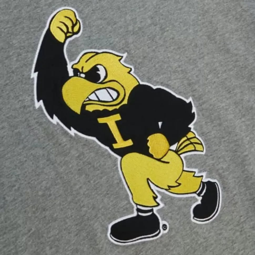 Color Blocked S/S Tee University Of Iowa