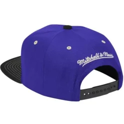Contrast Stitch Snapback Hwc Toronto Raptors