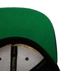 Core Basic Snapback Hwc Indiana Pacers