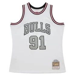 Cracked Cement Swingman Dennis Rodman Chicago Bulls 1997-98 Jersey
