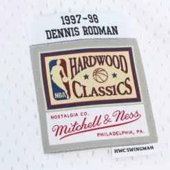 Cracked Cement Swingman Dennis Rodman Chicago Bulls 1997-98 Jersey