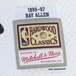 Cracked Cement Swingman Ray Allen Milwaukee Bucks 2000-01 Jersey