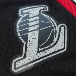 Cracked Cement Swingman Shorts Los Angeles Lakers 2009-10