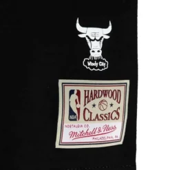 Cracked Ice Tee Chicago Bulls