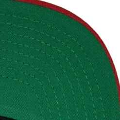 Crooked Path Snapback Chicago Bulls