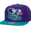 Crooked Path Snapback Hwc Charlotte Hornets