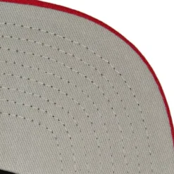 Cross Check Snapback Hwc Toronto Raptors