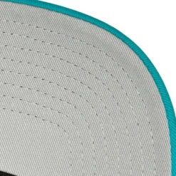 Curveball Trucker Coop Arizona Diamondbacks