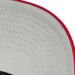 Curveball Trucker Coop Boston Red Sox